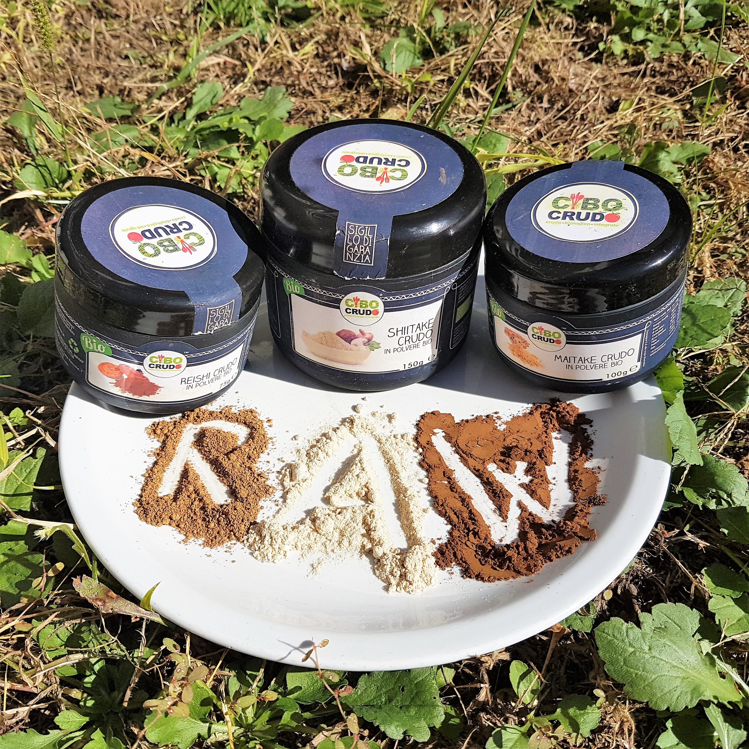 7°mese: Funghi curativi