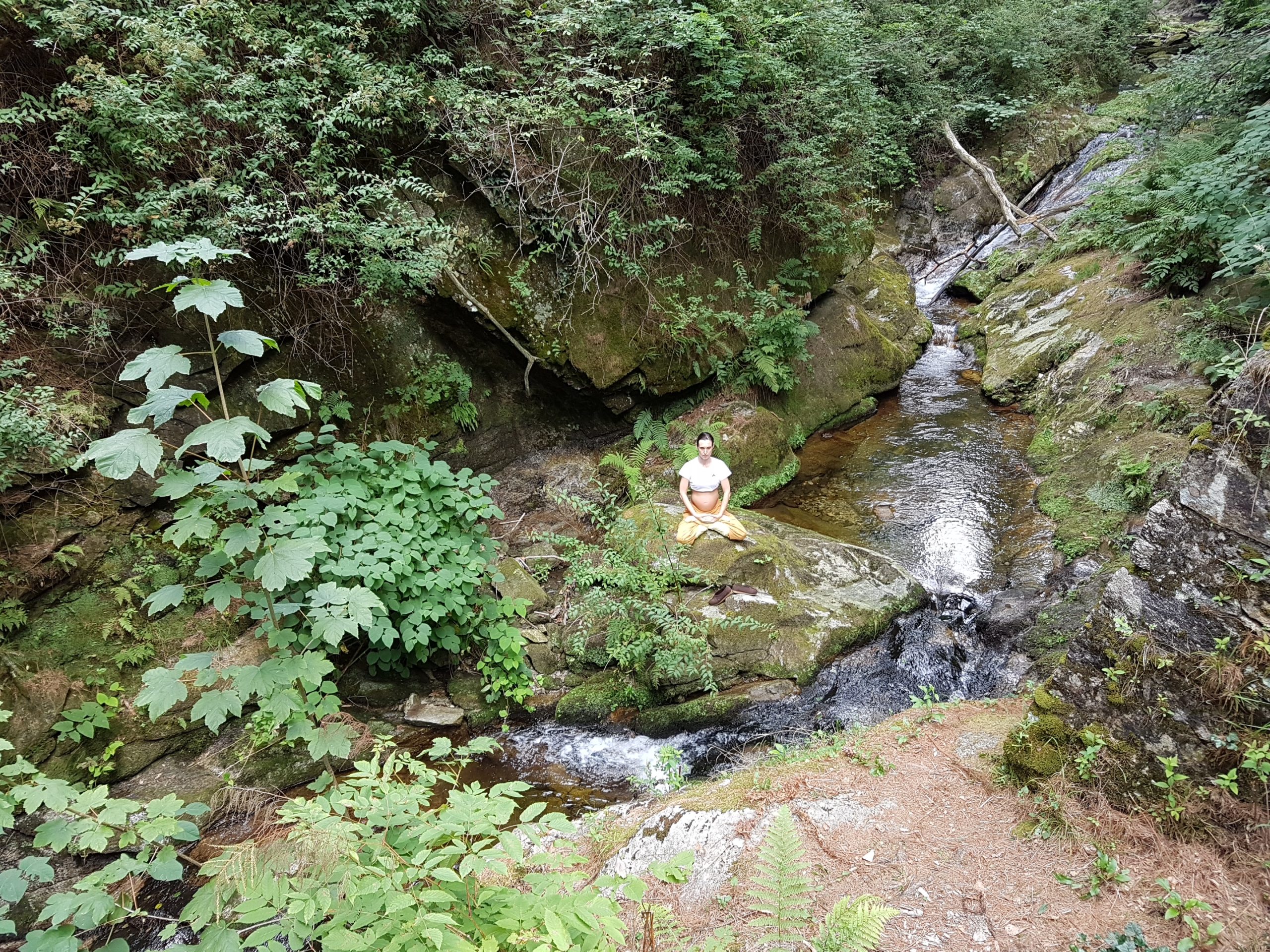 5°mese: Meditazione Chan