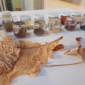 Reggio Children Approach