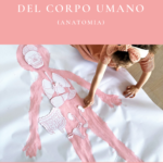 Copertina della guida PDF Atelier del Corpo Umano (Anatomia) di La Traccia: sagoma rosa di una bambina disegnata a grandezza naturale con gli organi di carta posizionati al loro posto